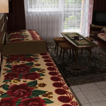 Hotel Goscinne Syloe *